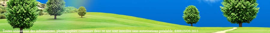 Carnet de route 2015
