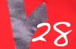 28